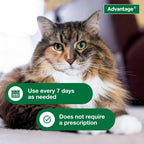 Advantage pet care formula for kittens and adult cats