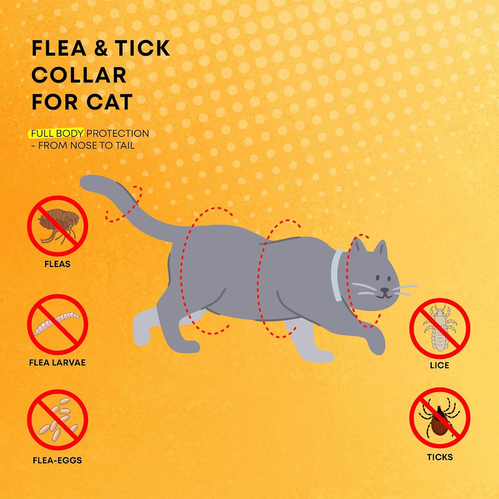 ProElobara adjustable waterproof cat collar grey