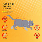 ProElobara adjustable waterproof cat collar grey