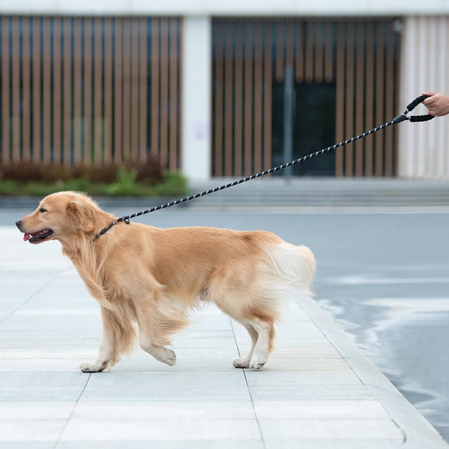 Premium braided nylon material of the iYoShop slip lead suitable for medium and large dogs.