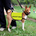 Zuo Bao Adopt Me Pet Vest side view showcasing the clear high visibility slogan print