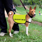 Zuo Bao Adopt Me Pet Vest side view showcasing the clear high visibility slogan print