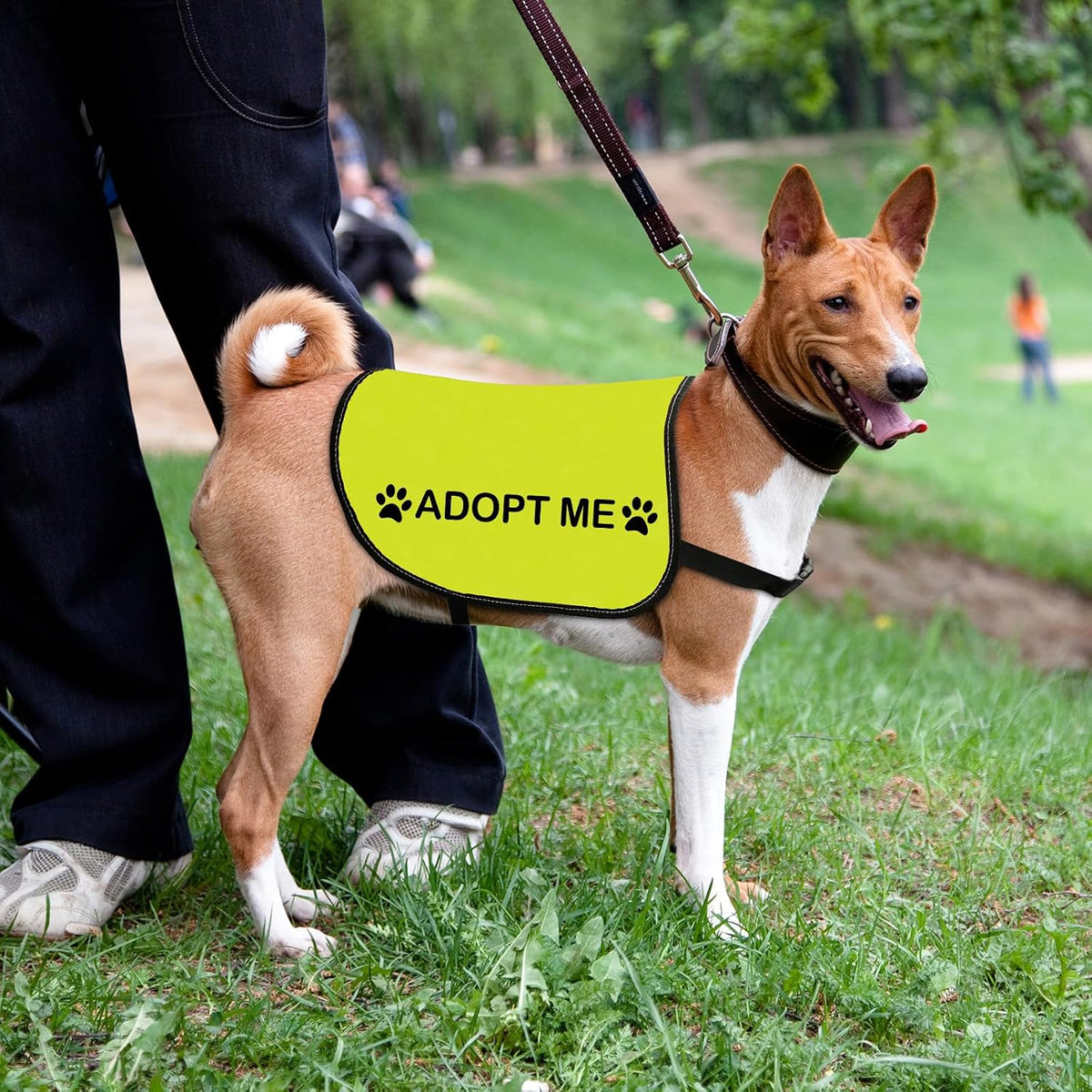 Side profile of Adopt Me medium dog vest showcasing the clear black paw print slogan typography