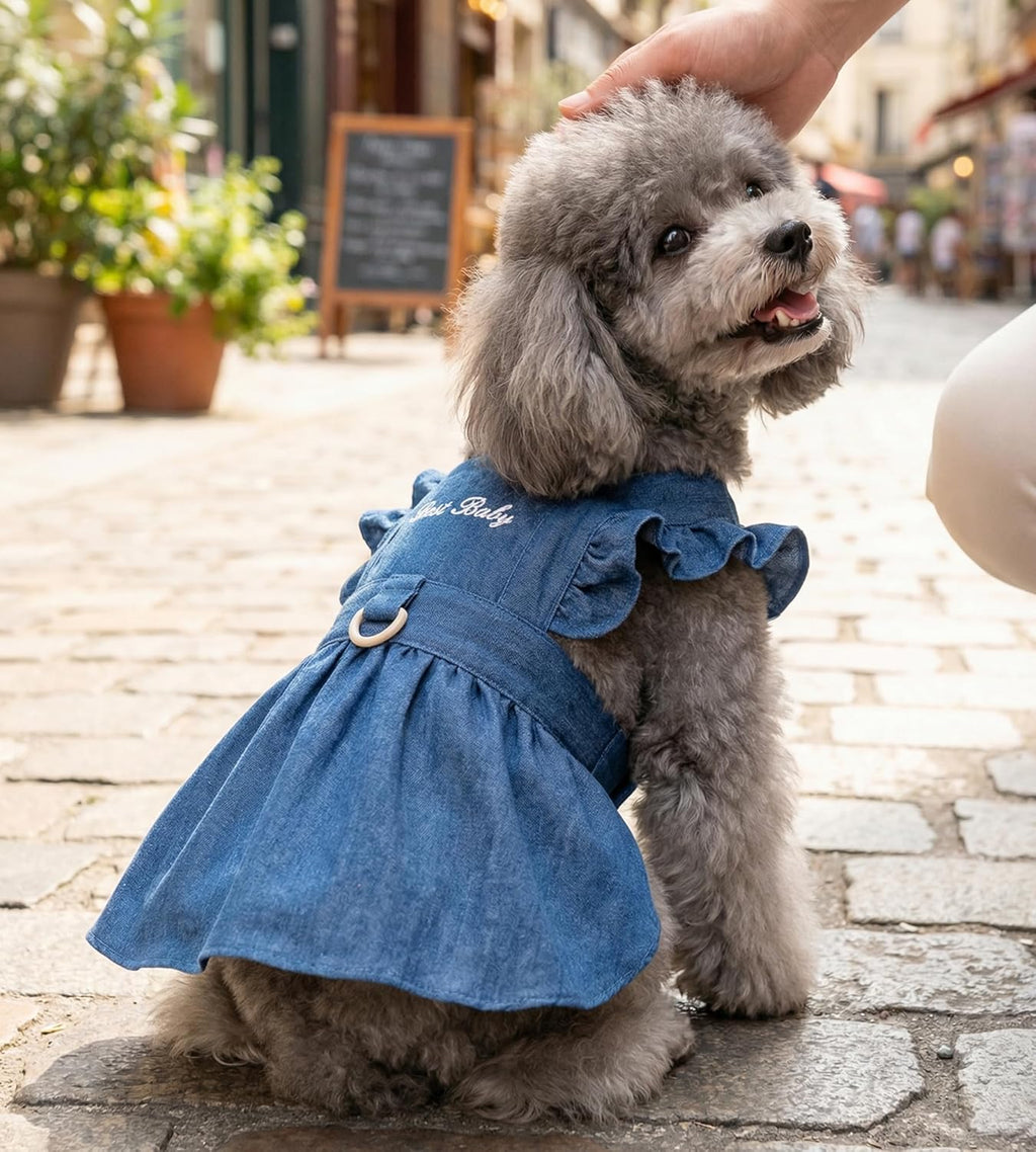 Side profile of a small puppy wearing a lightweight denim dress with a built-in leash ring.