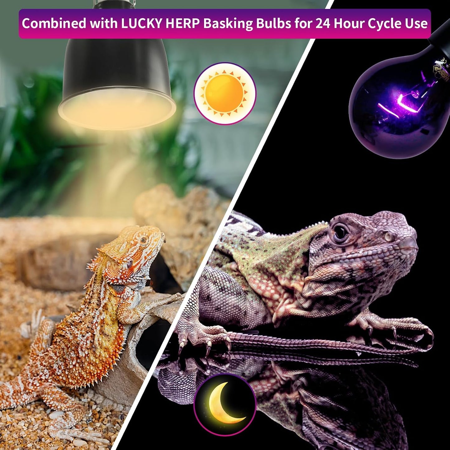 Lucky Herp fifty watt night heat lamp setup for turtle terrariums