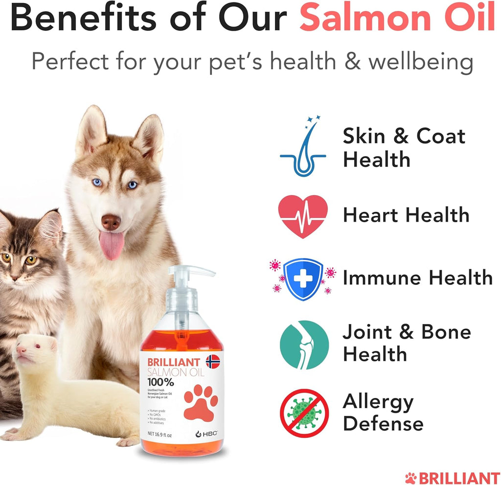 Nature's Diet Norwegian fish oil food topper being pumped onto dog kibble