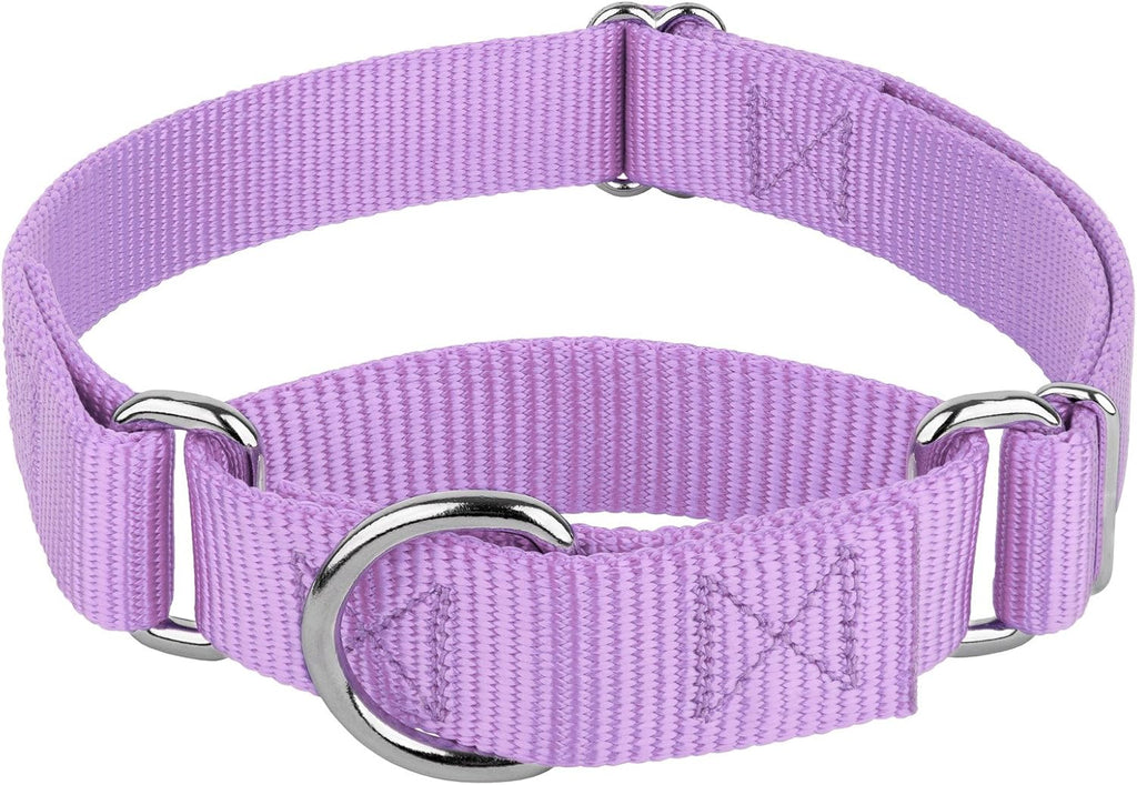 Country Brook Design martingale dog collar lavender front view training accessory