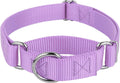 Country Brook Design martingale dog collar lavender front view training accessory