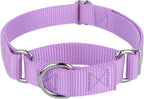 Country Brook Design martingale dog collar lavender front view training accessory