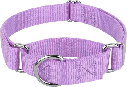 Country Brook Design martingale dog collar lavender front view training accessory