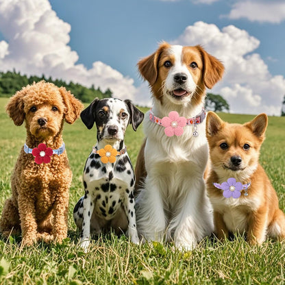 Small dog wearing pink floral collar with bell