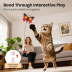 Authentic packaging of the imported Potaroma automatic interactive pet toy.