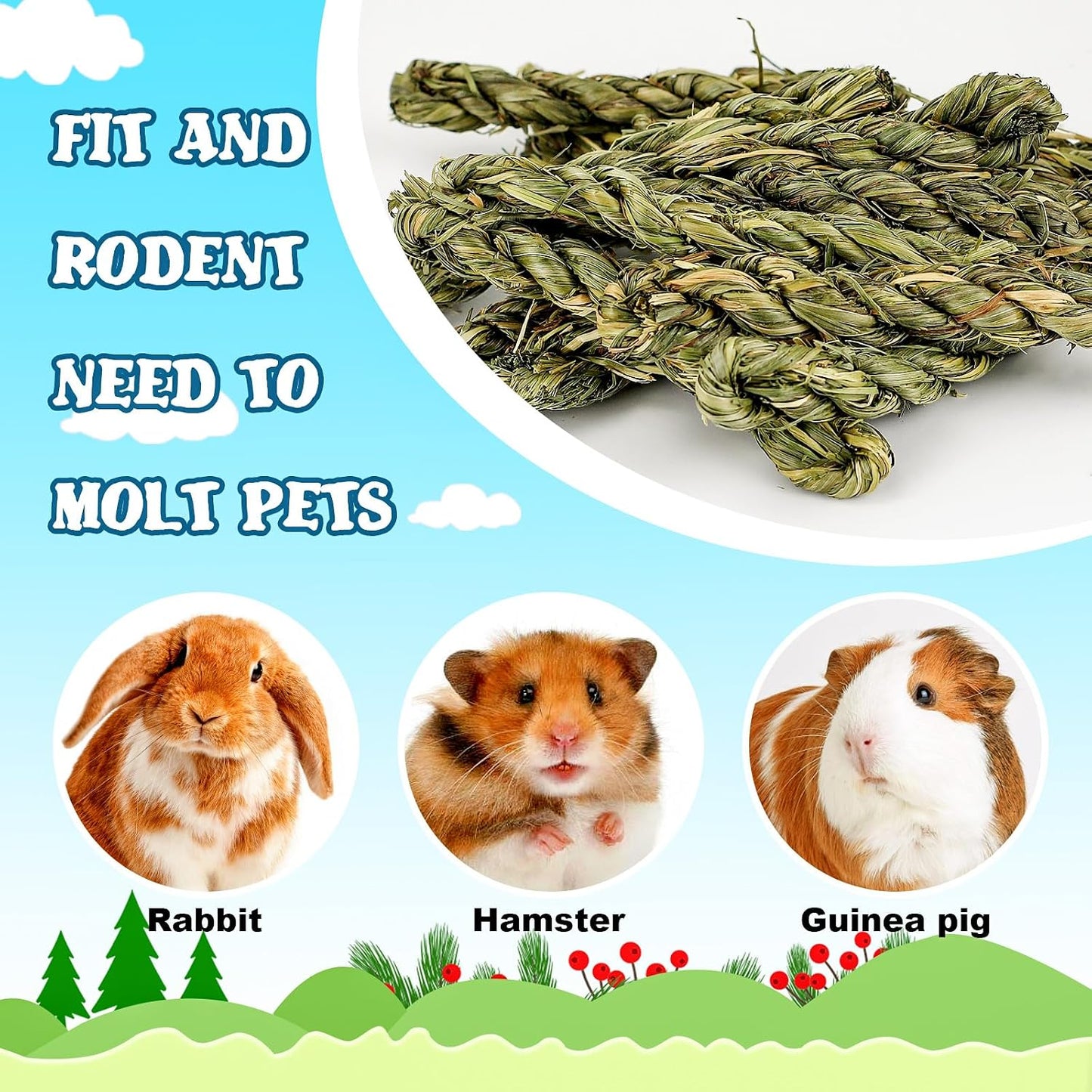 Premium guinea pig chew toys showing the natural green color from authentic sterilized timothy grass.