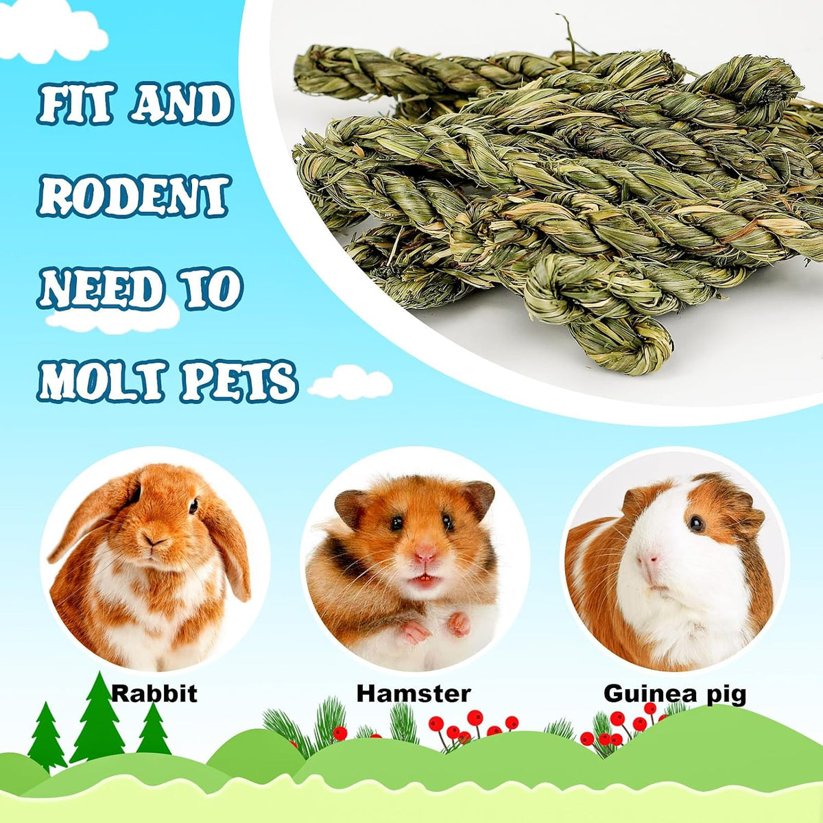 Premium guinea pig chew toys showing the natural green color from authentic sterilized timothy grass.