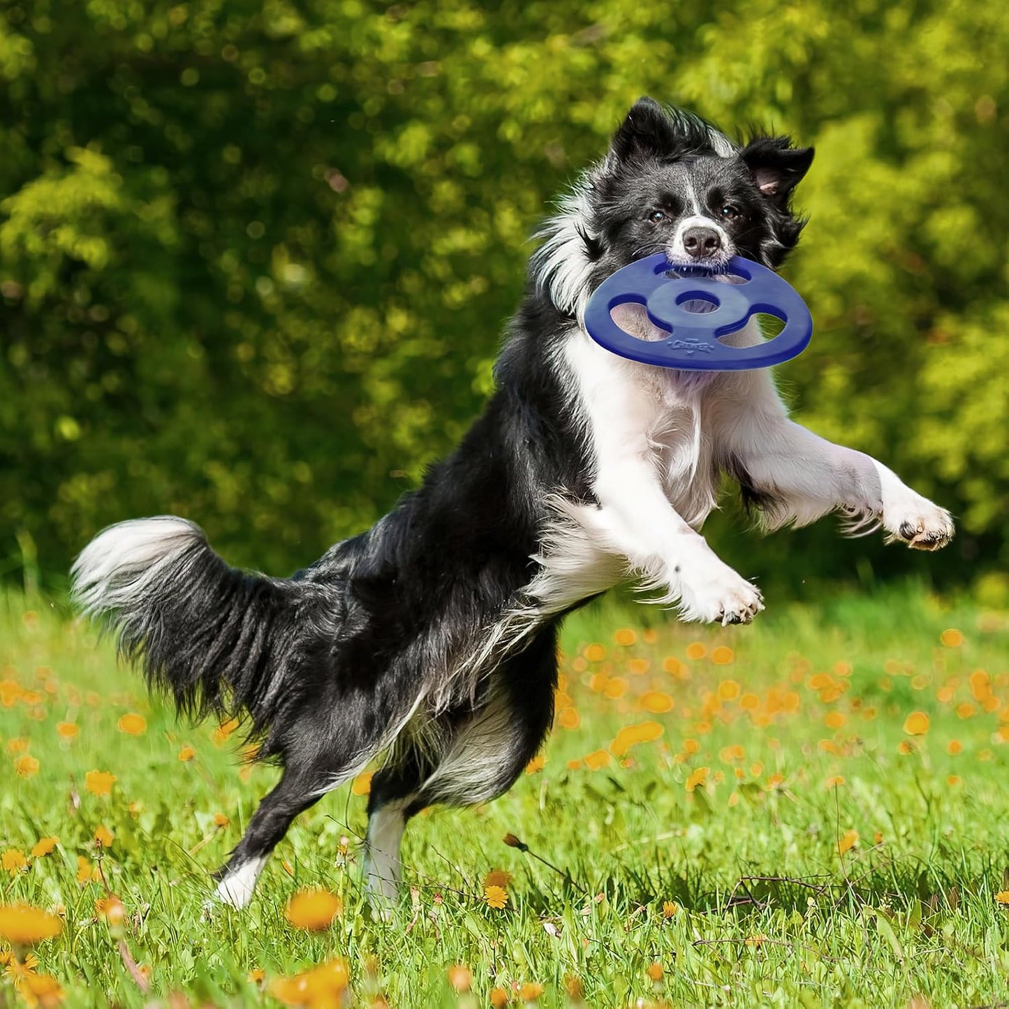 Tuff Pupper durable fetch toy for aggressive chewers