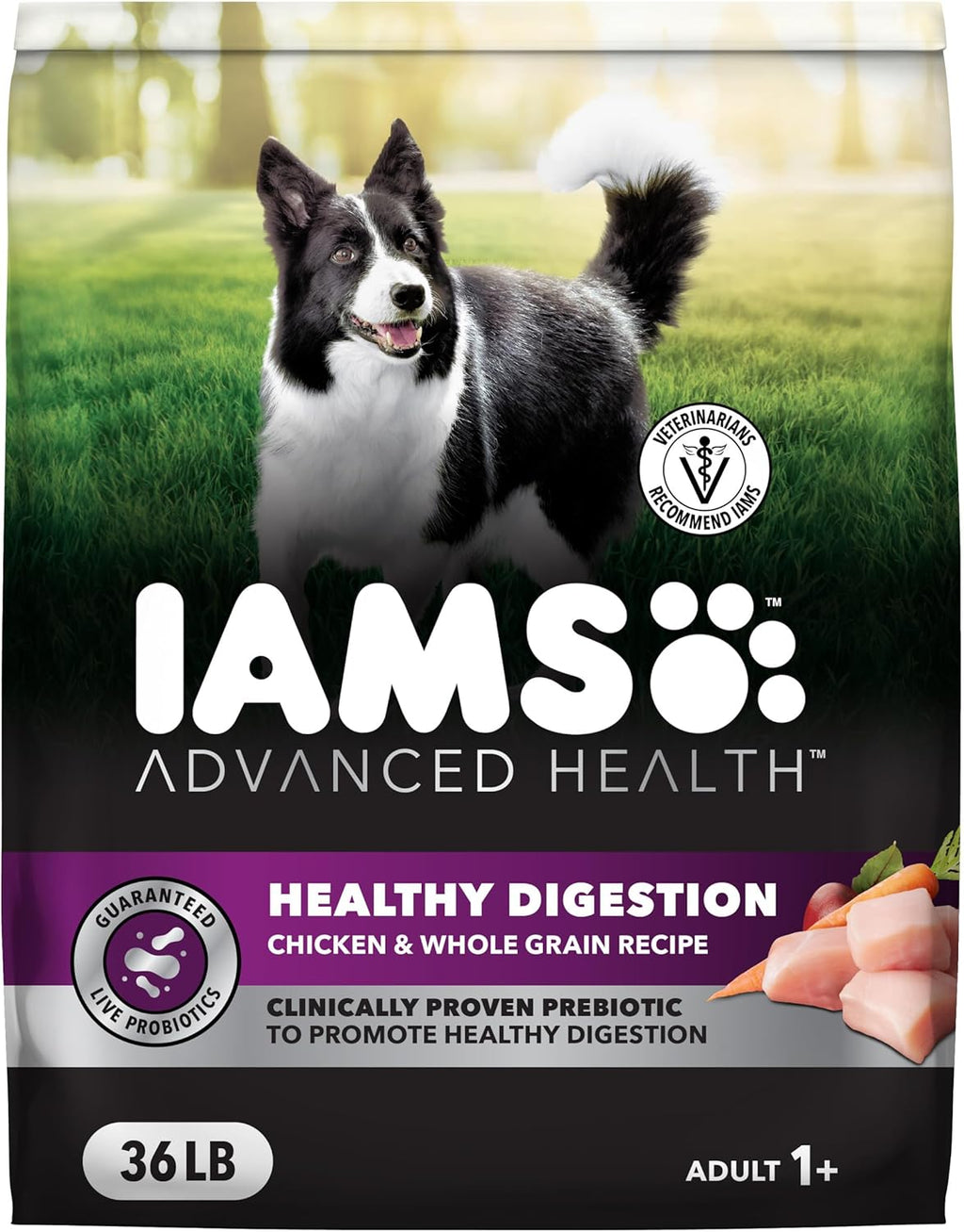 IAMS Advanced Health Healthy Digestion Adult Dry Dog Food with Real Chicken, 4.5 lb. Bag - Image 11