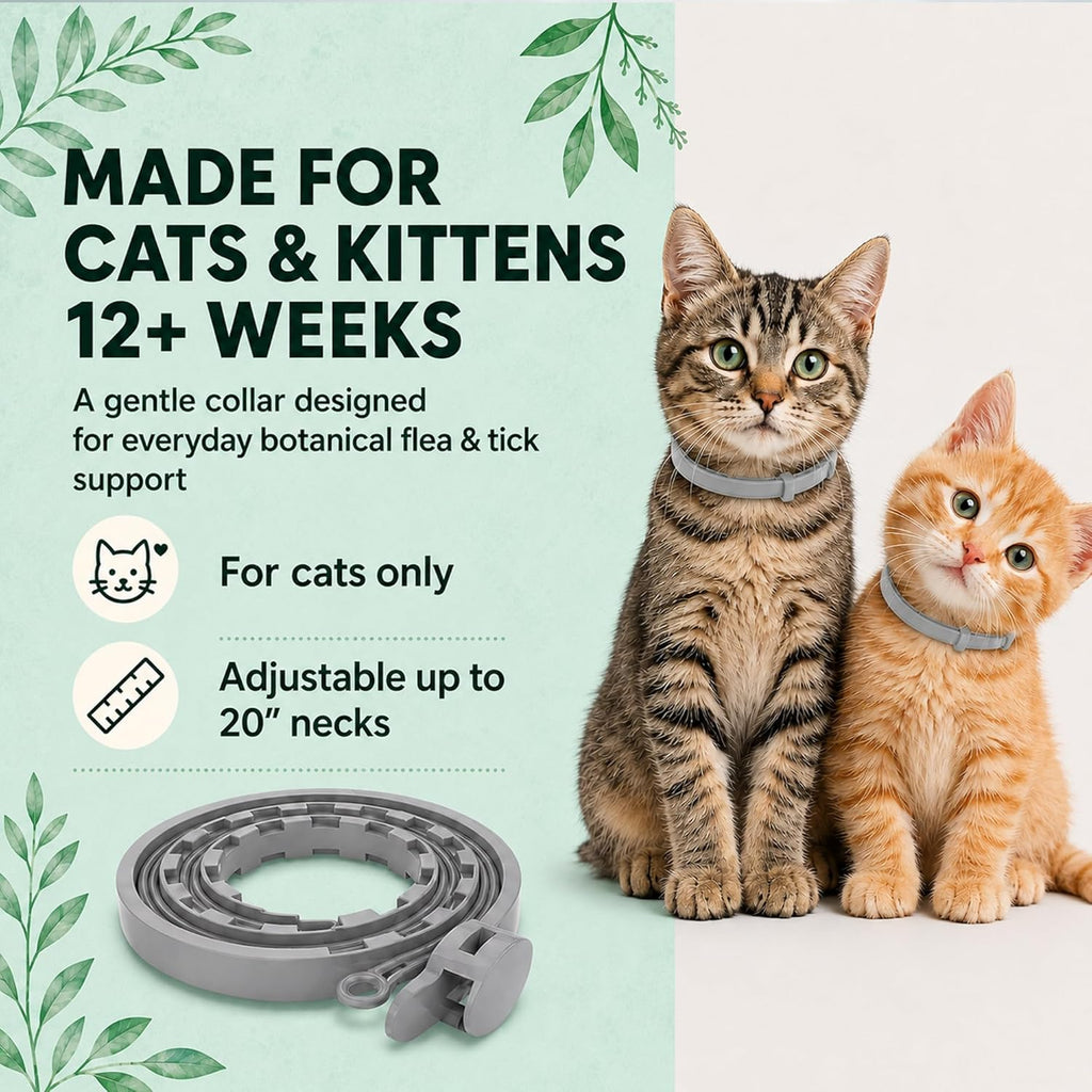 ProElobara cat collar waterproof material texture
