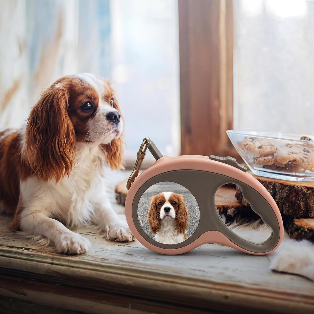 Amesuspes custom pet lead package contents for small and medium dogs