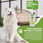 Natural plant-based dog potty training aid spray