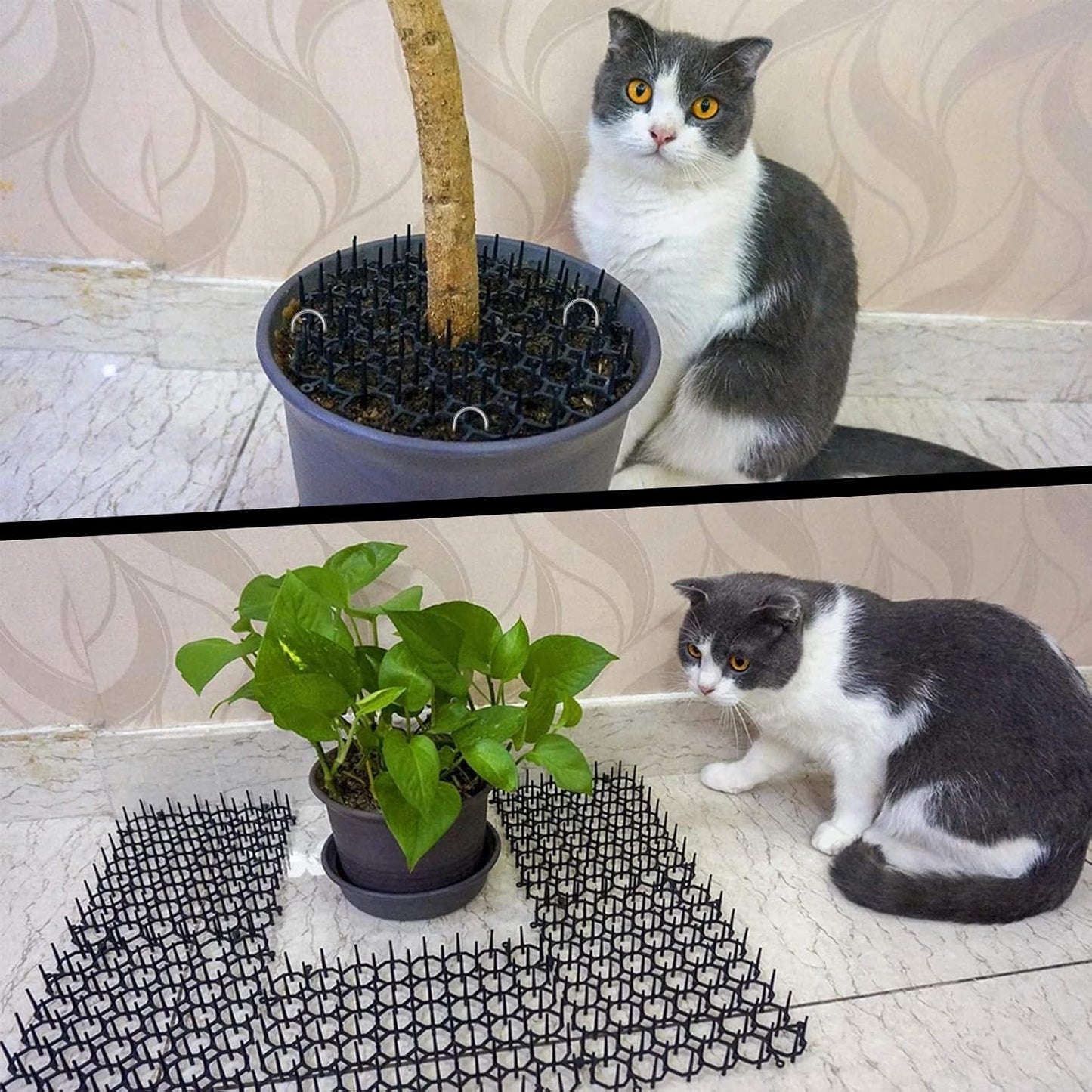 TSLBW cat scat mat set with U-shaped installation pegs