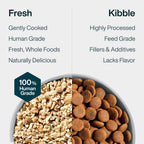 Veterinarian recommended fresh food for sensitive dog digestion