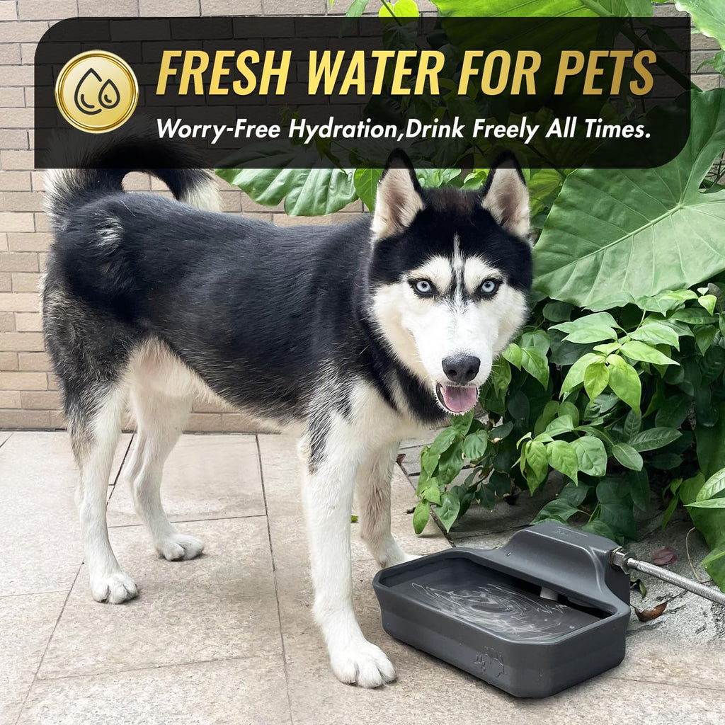 Ficuswin grey HDPE heavy duty automatic pet feeder bowl close up