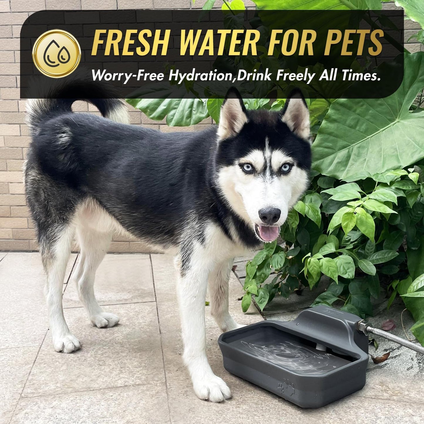 Ficuswin grey HDPE heavy duty automatic pet feeder bowl close up