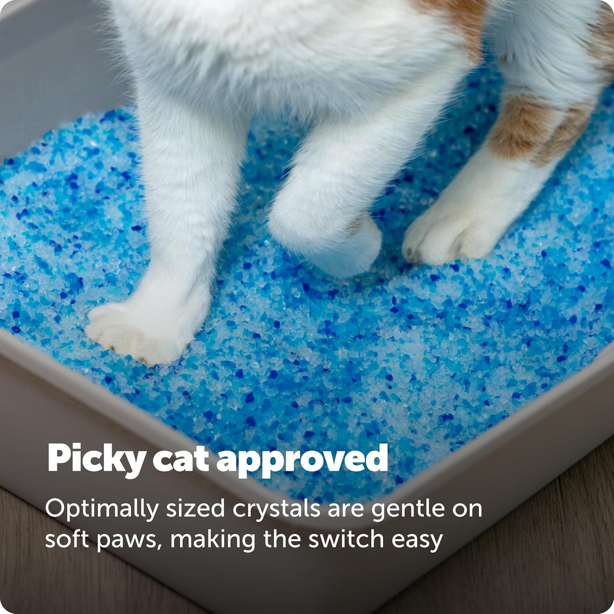 PetSafe ScoopFree crystal litter ready for use