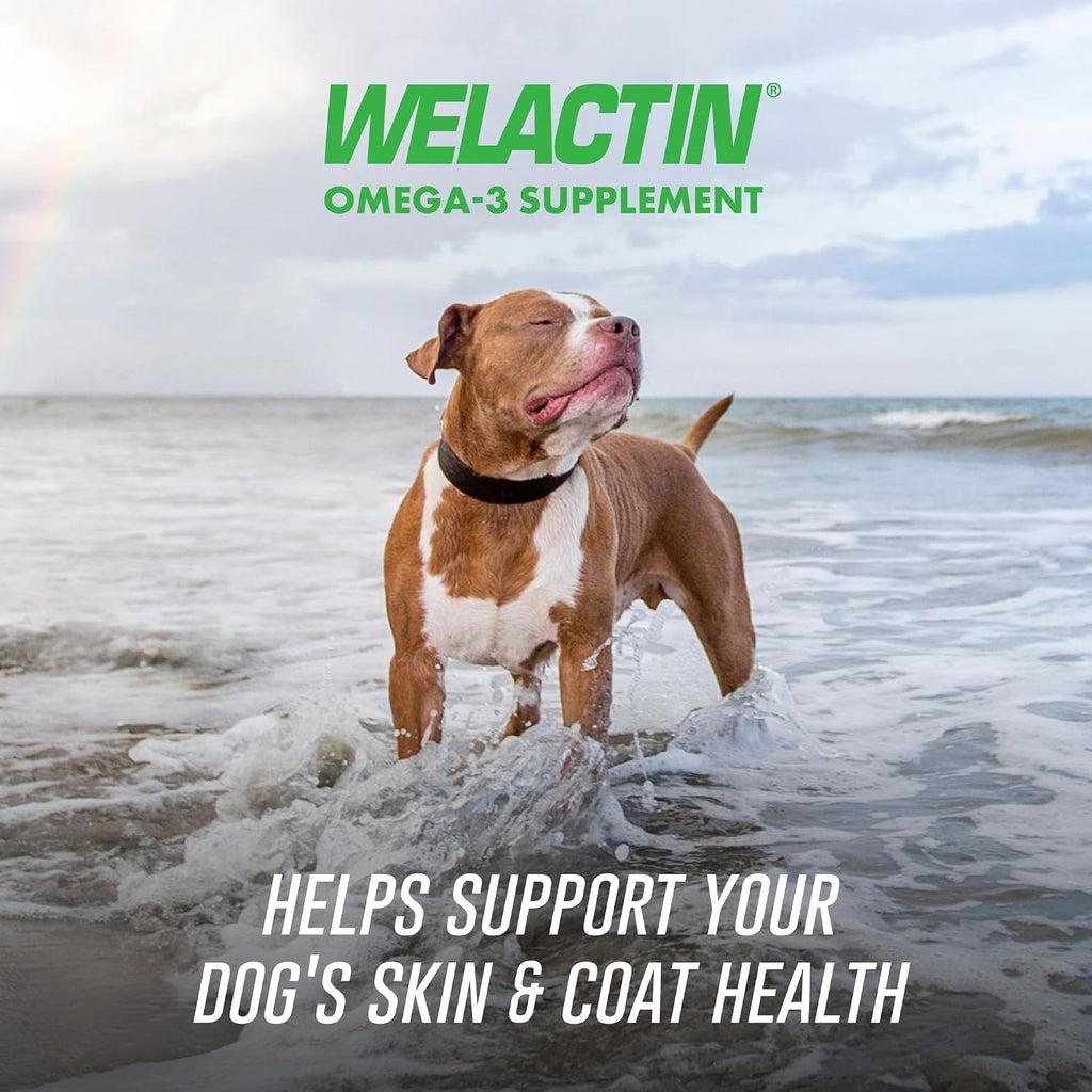Nutramax Welactin dog supplement bag back label showing ingredients and nutritional information.