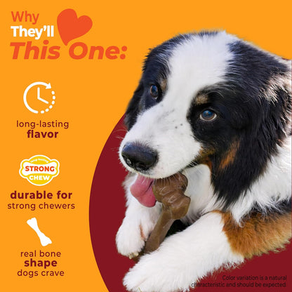 Durable nylon femur bone dog toy texture detail