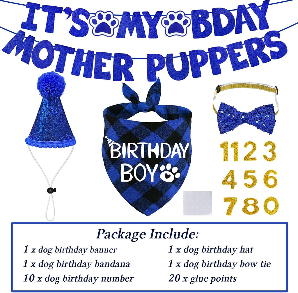 STMK adjustable pet bling party hat with customizable golden age numbers applied