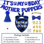 STMK adjustable pet bling party hat with customizable golden age numbers applied