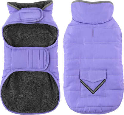 Petglad dog coat sky blue small size being fitted on a small breed