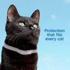 Rear packaging details of Adams Plus cat flea and tick collar