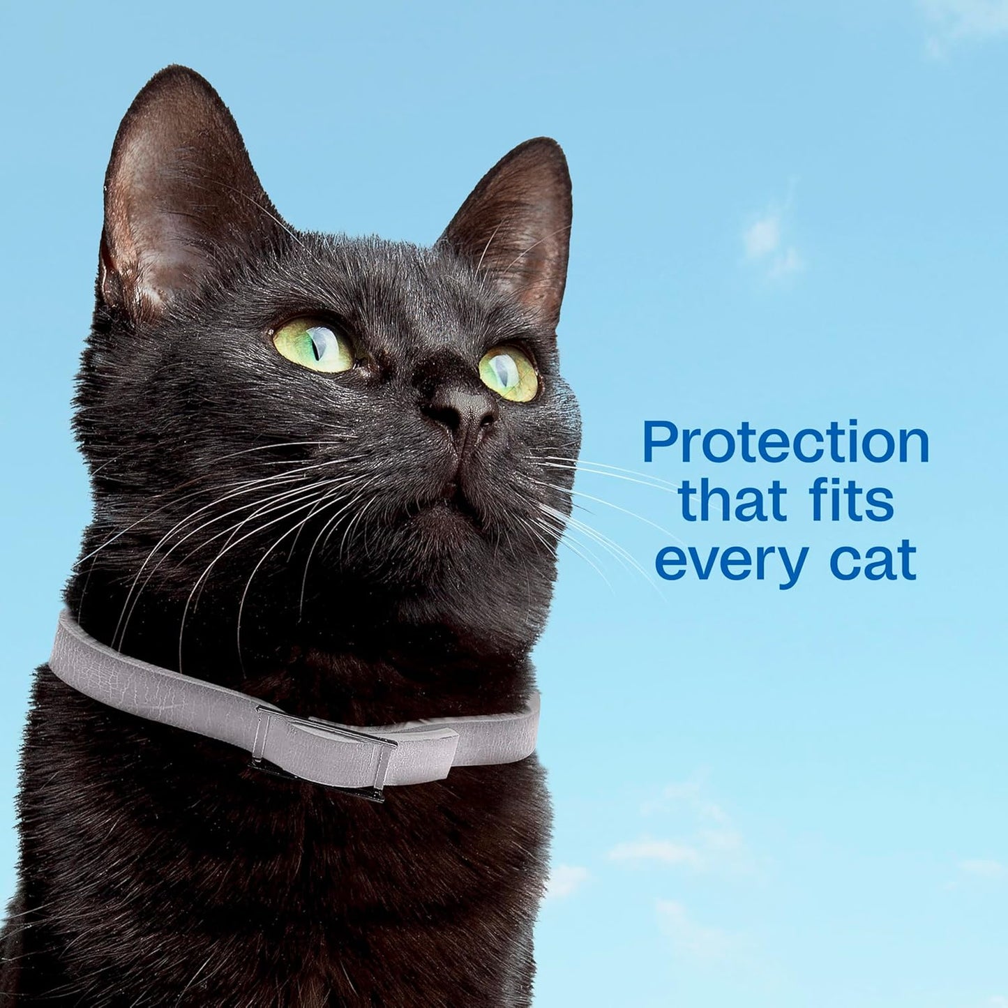 Rear packaging details of Adams Plus cat flea and tick collar