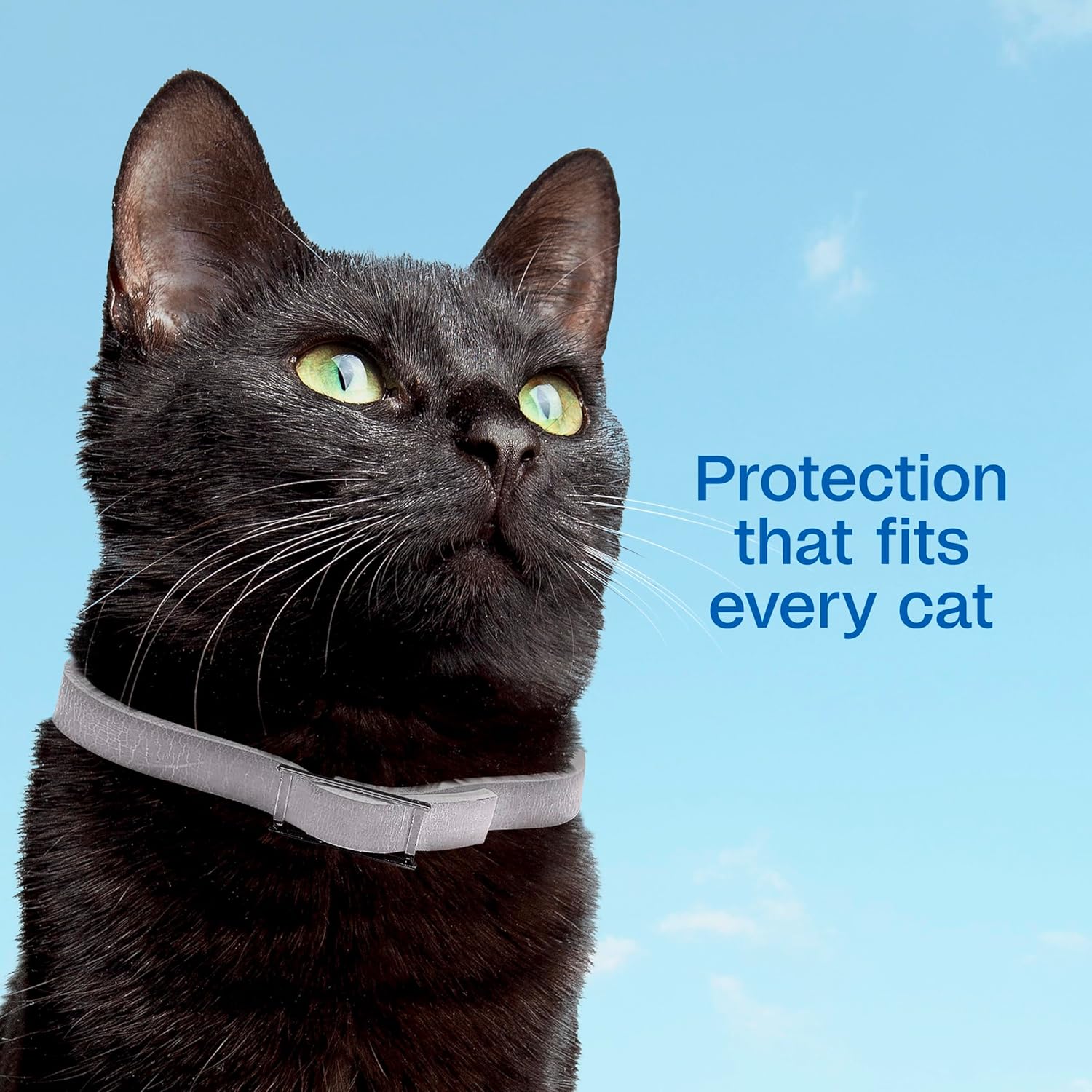 Rear packaging details of Adams Plus cat flea and tick collar