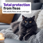 USA imported topical flea prevention treatment tubes for large cats