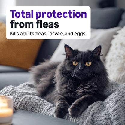 USA imported topical flea prevention treatment tubes for large cats