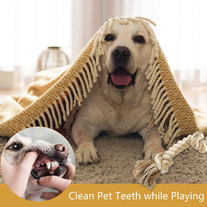 PetiFine interactive dog pull rope demonstrating thickness and durable cotton weave