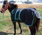 Challenger 60 inch pony foal blanket adjustable front buckles close up
