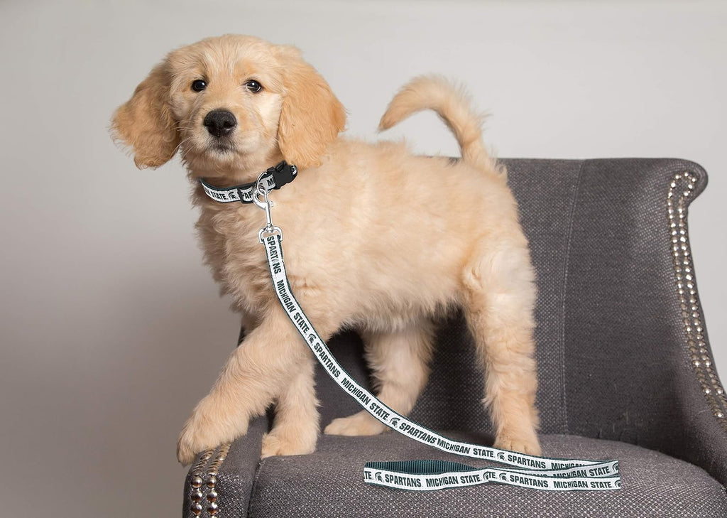 Michigan State Spartans small nylon pet leash metal clip detail