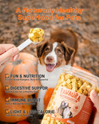 Freeze dried pumpkin cubes for cats and dogs close up shot.
