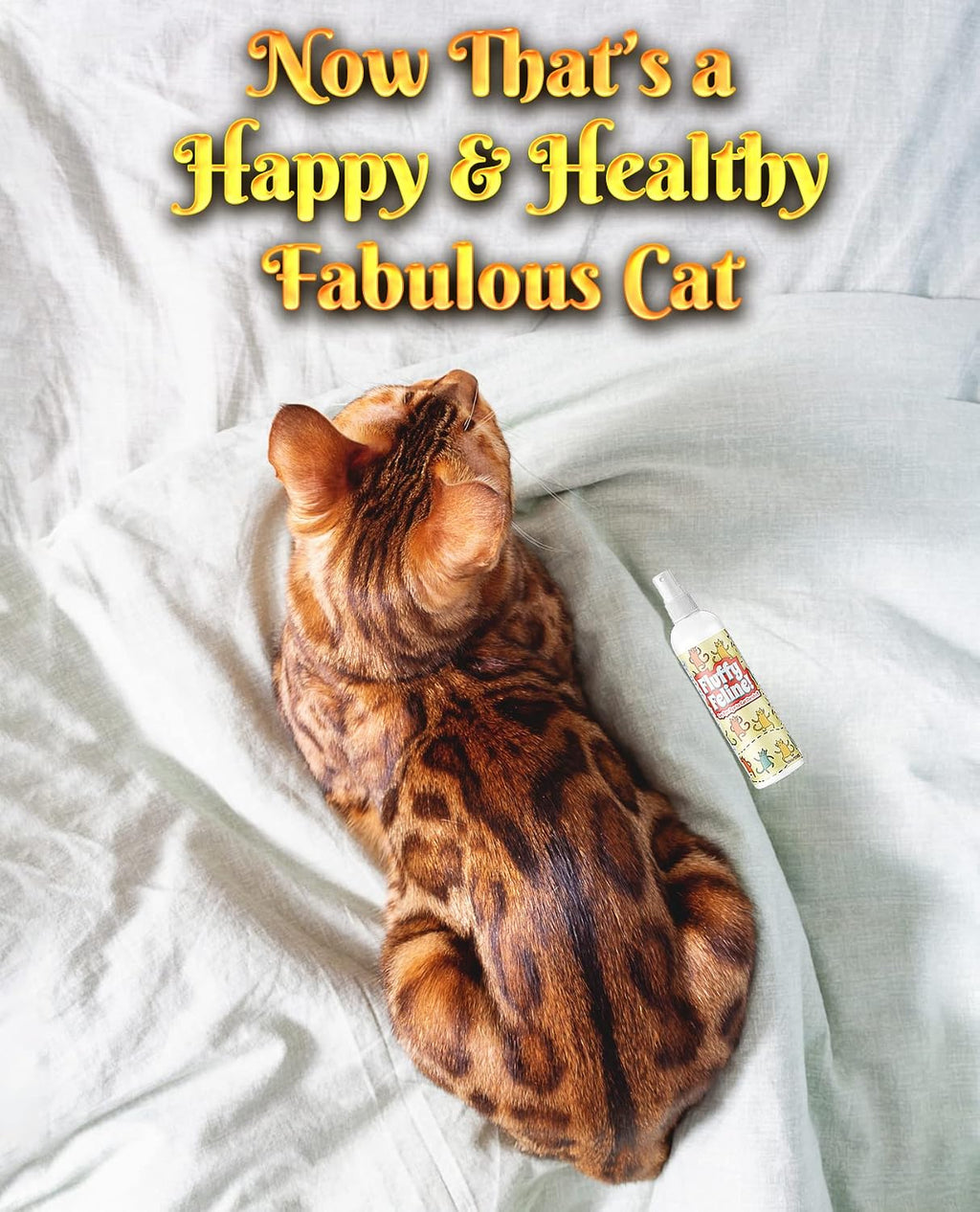 Professional groomer holding pet care spray bottle