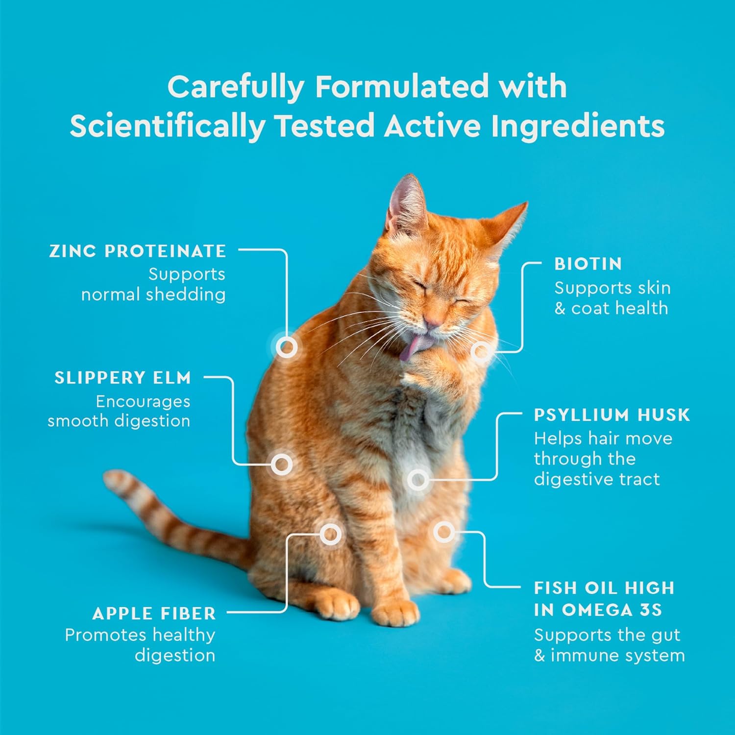 Side view of VetIQ hairball relief chicken flavored chews bag showing official manufacturing details.