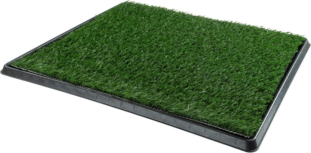 Small dog using Petmaker indoor grass potty mat