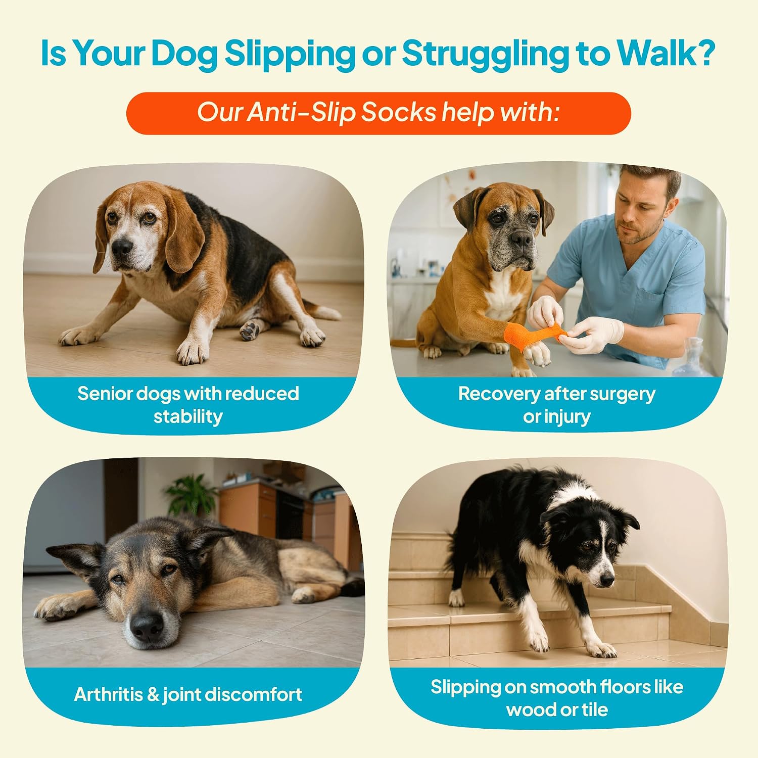 Large size Steady Paws anti-slip socks in a 4 pack set