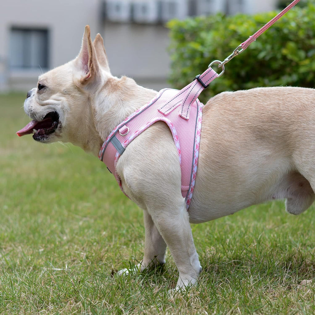 Mercano pink mesh puppy harness attached to matching padded handle leash