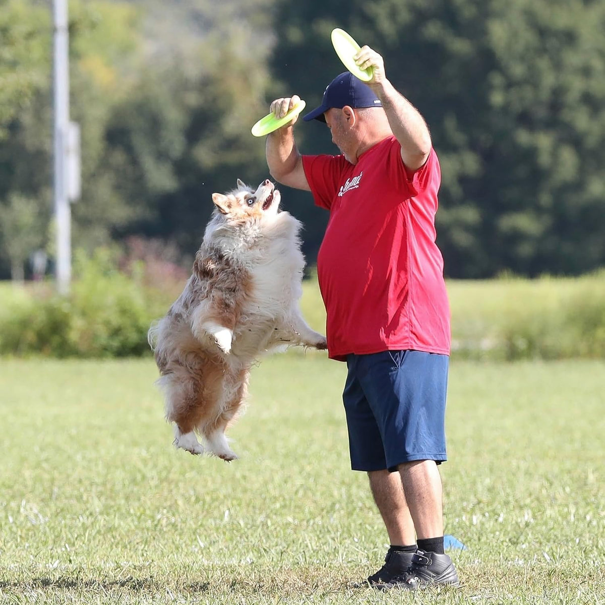 Hyperflite Pup Jawz dog disc with professional flight surface