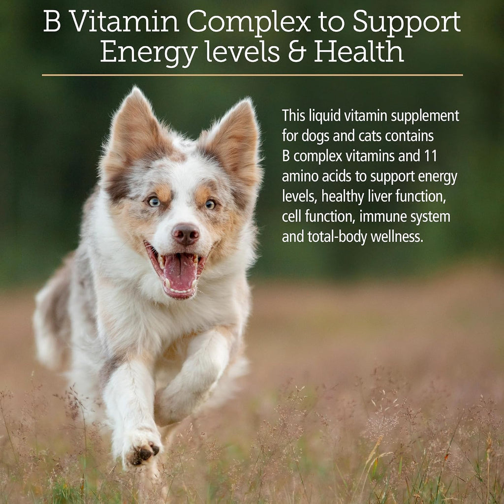 Rx Vitamins Amino B-Plex dosage instructions and directions for use on pets