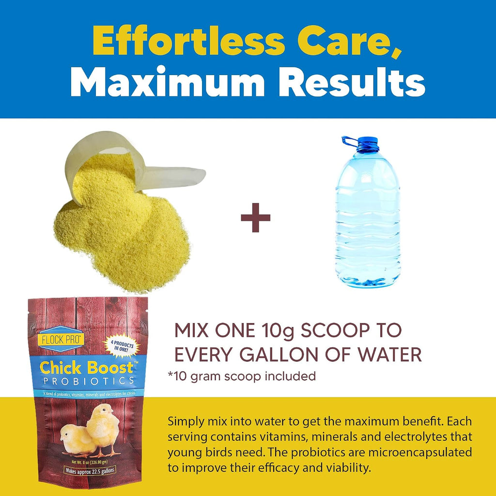 Equerry's Flock PRO Chick Boost Probiotic - Probiotics, Vitamins, Minerals and Electrolytes for Chickens | Chicken Vitamins and Supplements for All Poultry - 8oz - Image 5